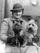 pioneer of the cairn terrier's presence in america