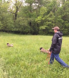 Ryan and his dogs in a field