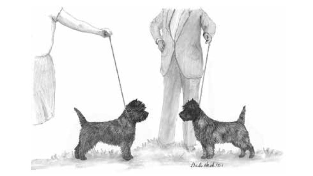 black and white illustration of two cairns meeting in the park